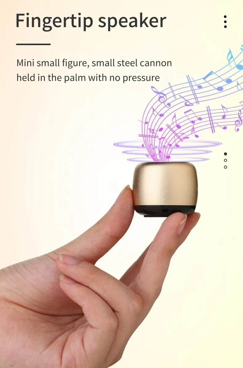 Mini Speaker